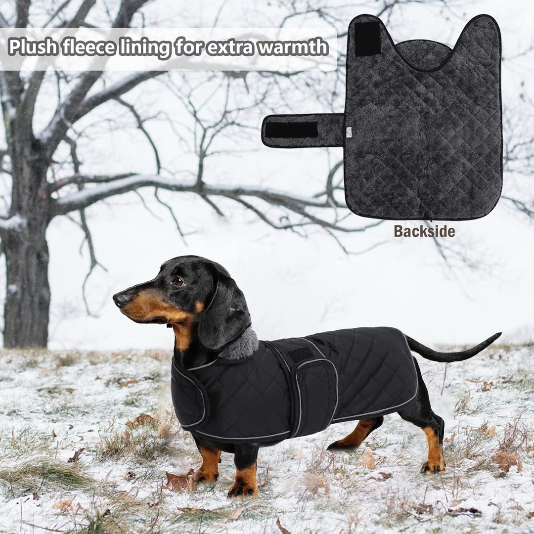 Geyecete - Warmer wintermantel für dackel Hunde,Hunde Winterjacken mit plüschfutter,Outdoor jacken m