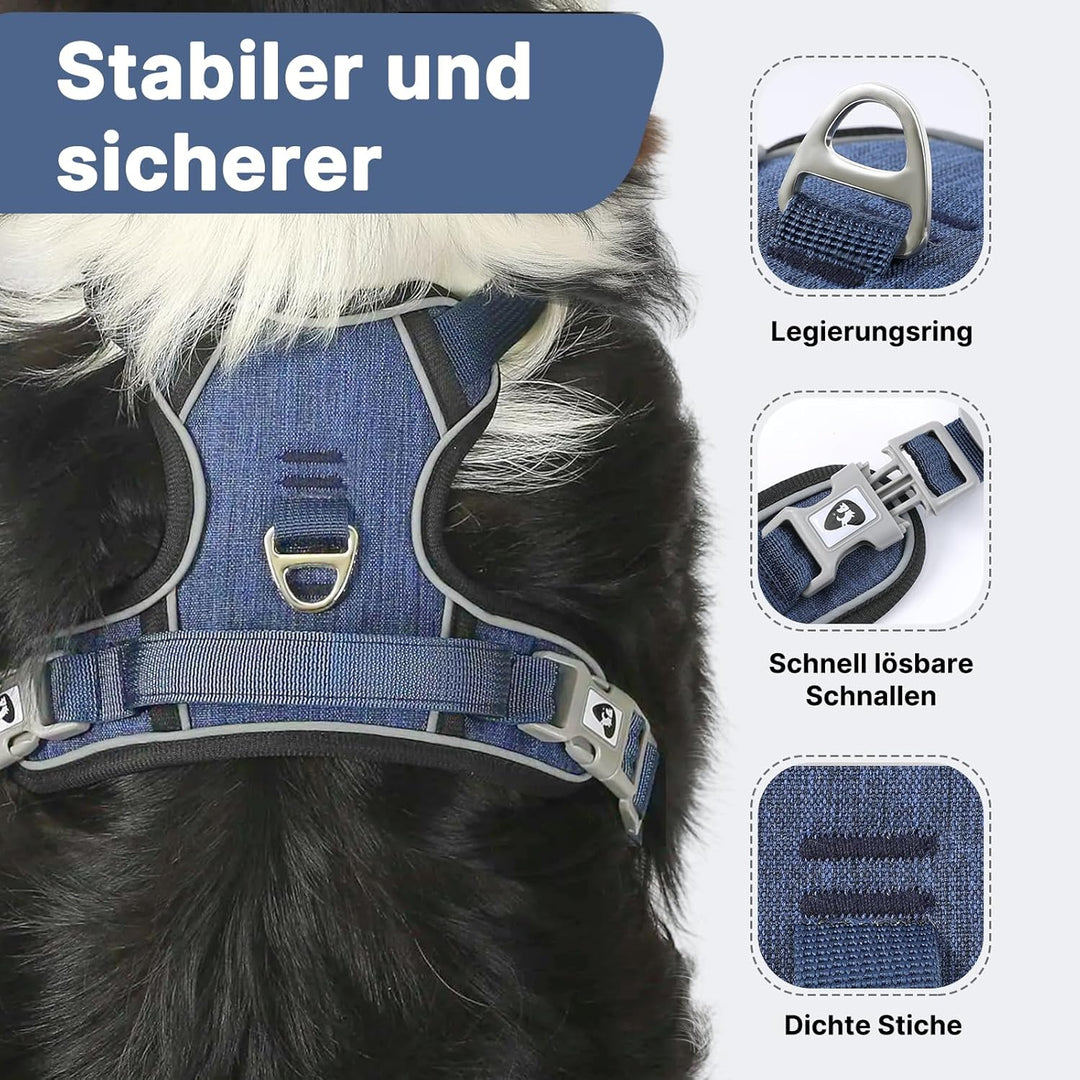 Demigreat Mittleres Hundegeschirr, Anti-Zug-Hundegeschirr mit Weich Gepolstertem Griff für das Train