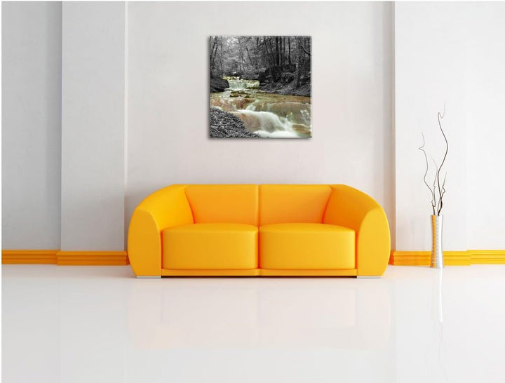 Pixxprint Waldbach im Herbst Schwarz/Weiss, Format: 70x70 auf Leinwand, 70x70