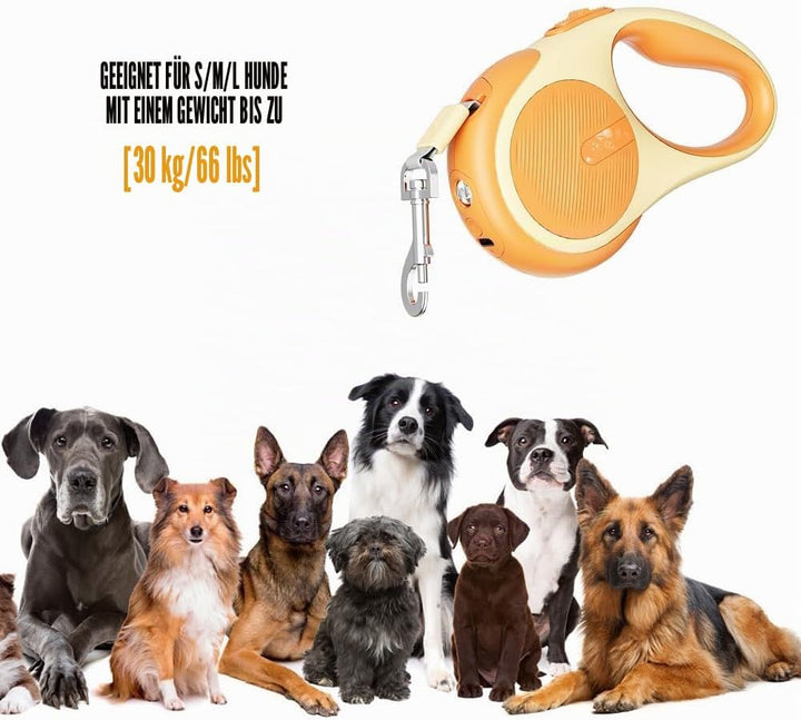 Einziehbare Hundeleine Mit Licht - 3m/5m Ausziehbare Leine für Kleine, Mittelgrosse und Grosse Hunde
