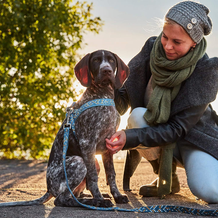 Hurtta Razzle-Dazzle H-Geschirr für Hunde, Gepolstert, 100% recyceltes Polyester, Blau 45-55 cm bilb