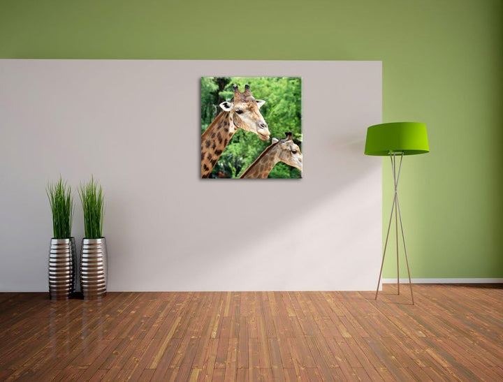 Pixxprint Giraffen, Format: 70x70 auf Leinwand, XXL riesige Bilder fertig gerahmt mit Keilrahmen, Ku
