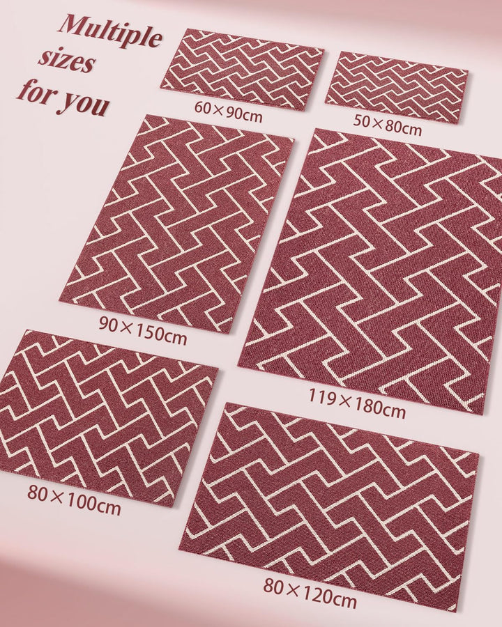 Biscpro Schmutzfangmatte 50x80 Fussmatte, Wasserdicht Schmutzabsorption Matte Fussmatte für Aussen I