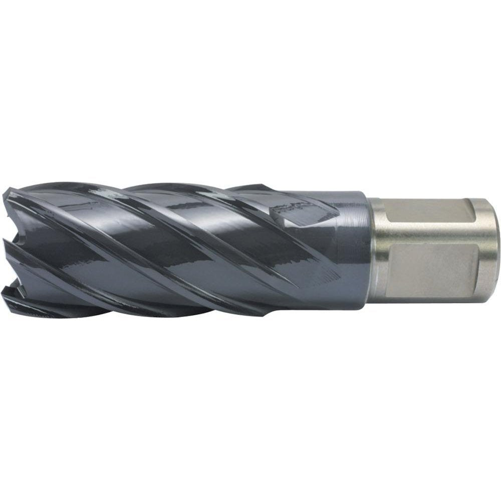 Alfra 1902022050 Kernbohrer aus Hss-Co Rqx, Stahl, 22/50 mm