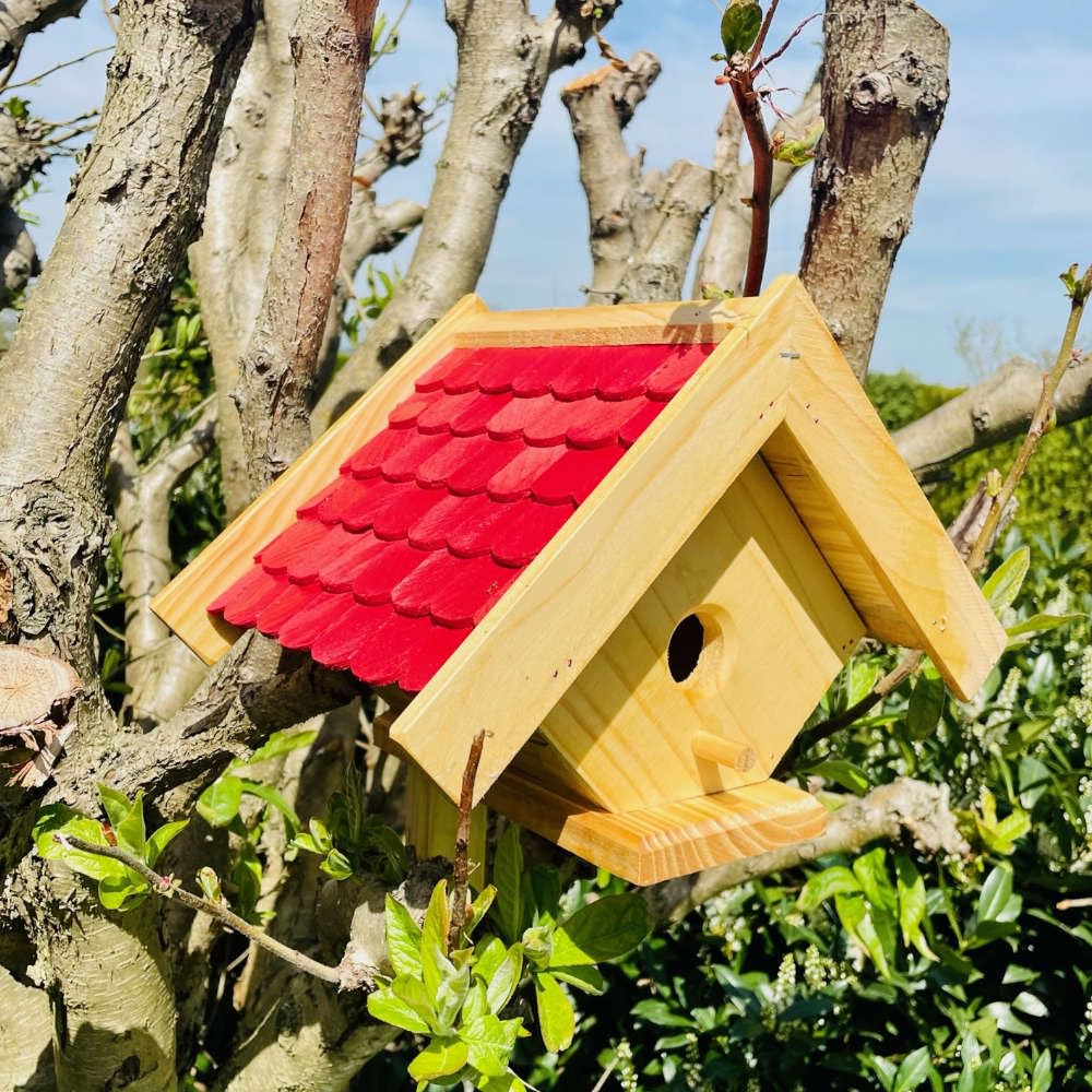 Spitzdach handgefertigter Nistkasten Bruthöhle für kleine Singvögel Kohlmeise I Kleiber I Holz Natur