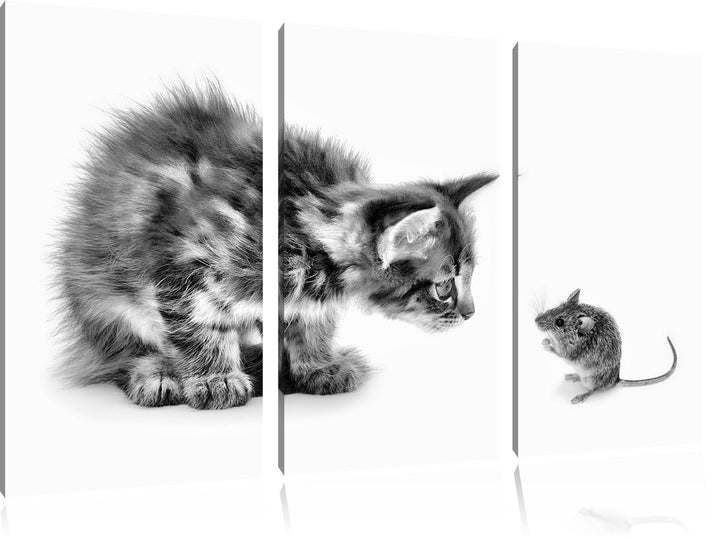 Pixxprint Katze und Maus Freunde als Leinwandbild/Grösse: 3 Teilig (120x80) cm/Wandbild/Kunstdruck/f