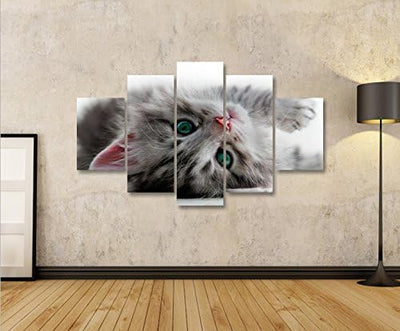 islandburner Bild Bilder auf Leinwand Kätzchen Katze mit grünen Augen MF XXL Poster Leinwandbild Wan