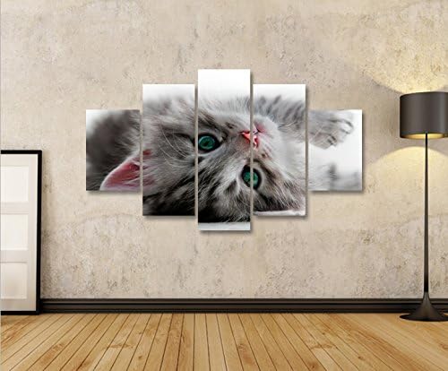 islandburner Bild Bilder auf Leinwand Kätzchen Katze mit grünen Augen MF XXL Poster Leinwandbild Wan