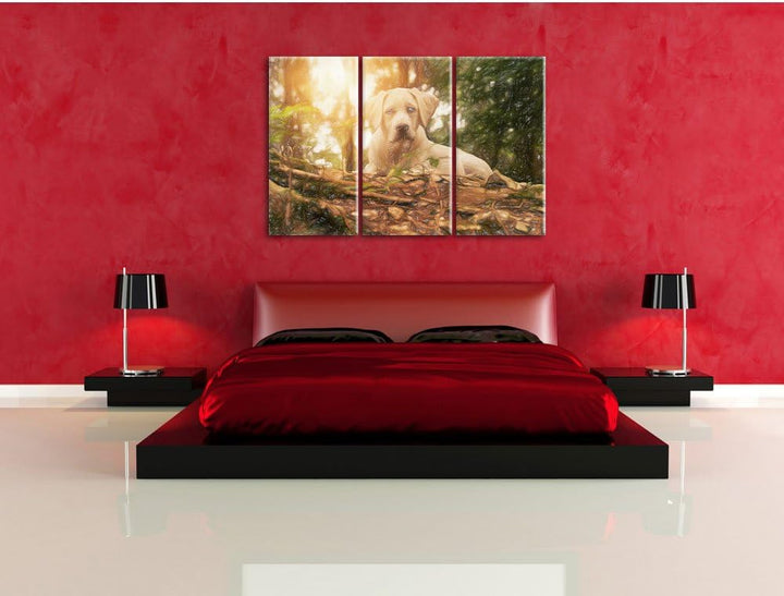 Pixxprint Hund im Wald bei Sonneuntergang / 3-Teilig/Gesamtmass 120cm Leinwandbild bespannt auf Holz