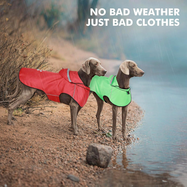 BiPawTi Hunde Regenmantel Grosse Hunde – Wasserdichter Hundemantel, Verstellbarer Regenjacke mit Ref
