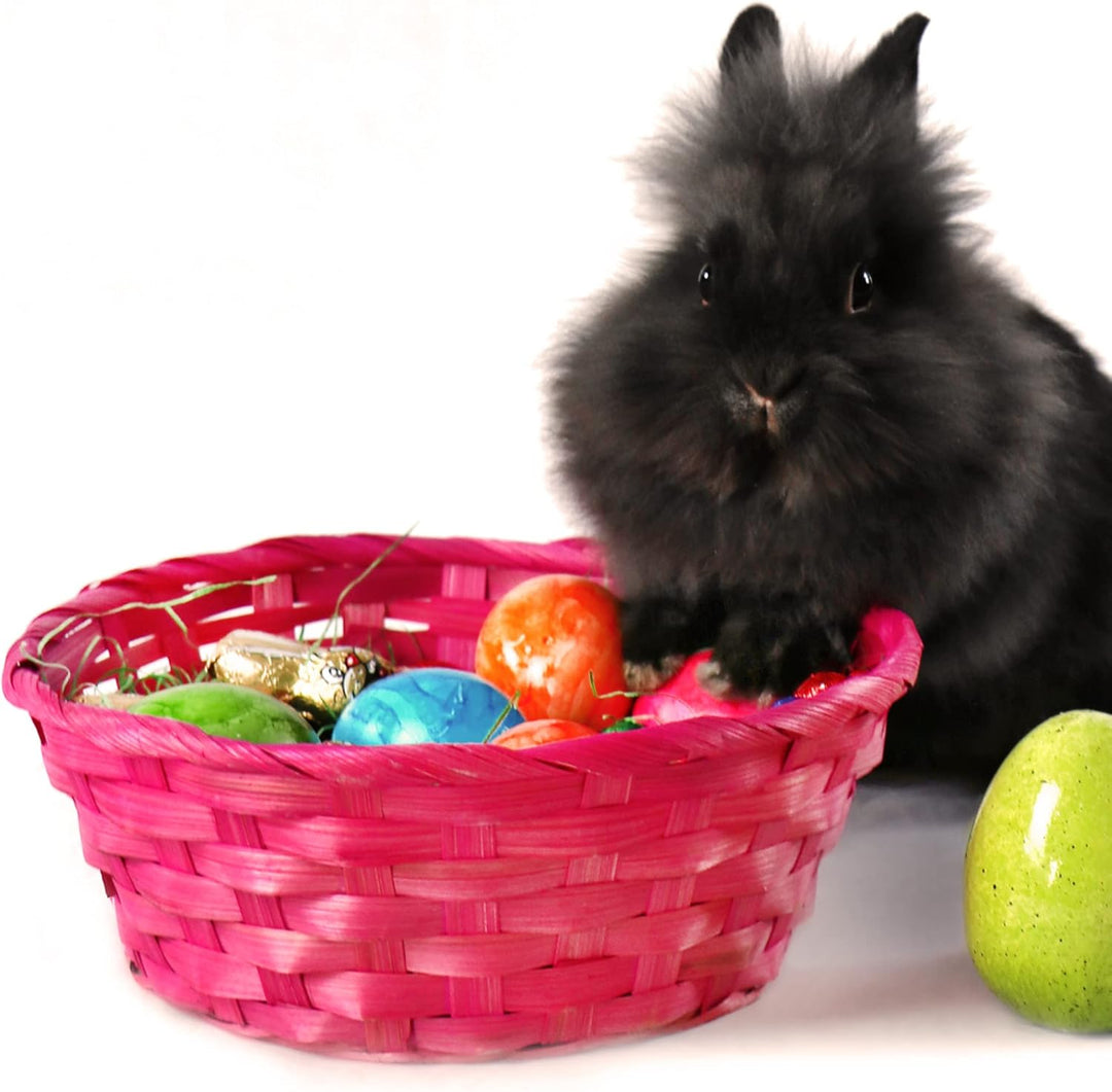 com-four® 4X Bunte Bastkörbe und Eierfarben als Dekoration zu Ostern - Osternest in tollen Farben -