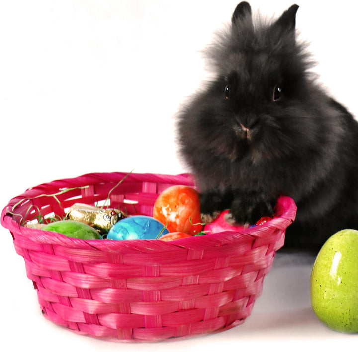 com-four® 4X Bunte Bastkörbe und Eierfarben als Dekoration zu Ostern - Osternest in tollen Farben -