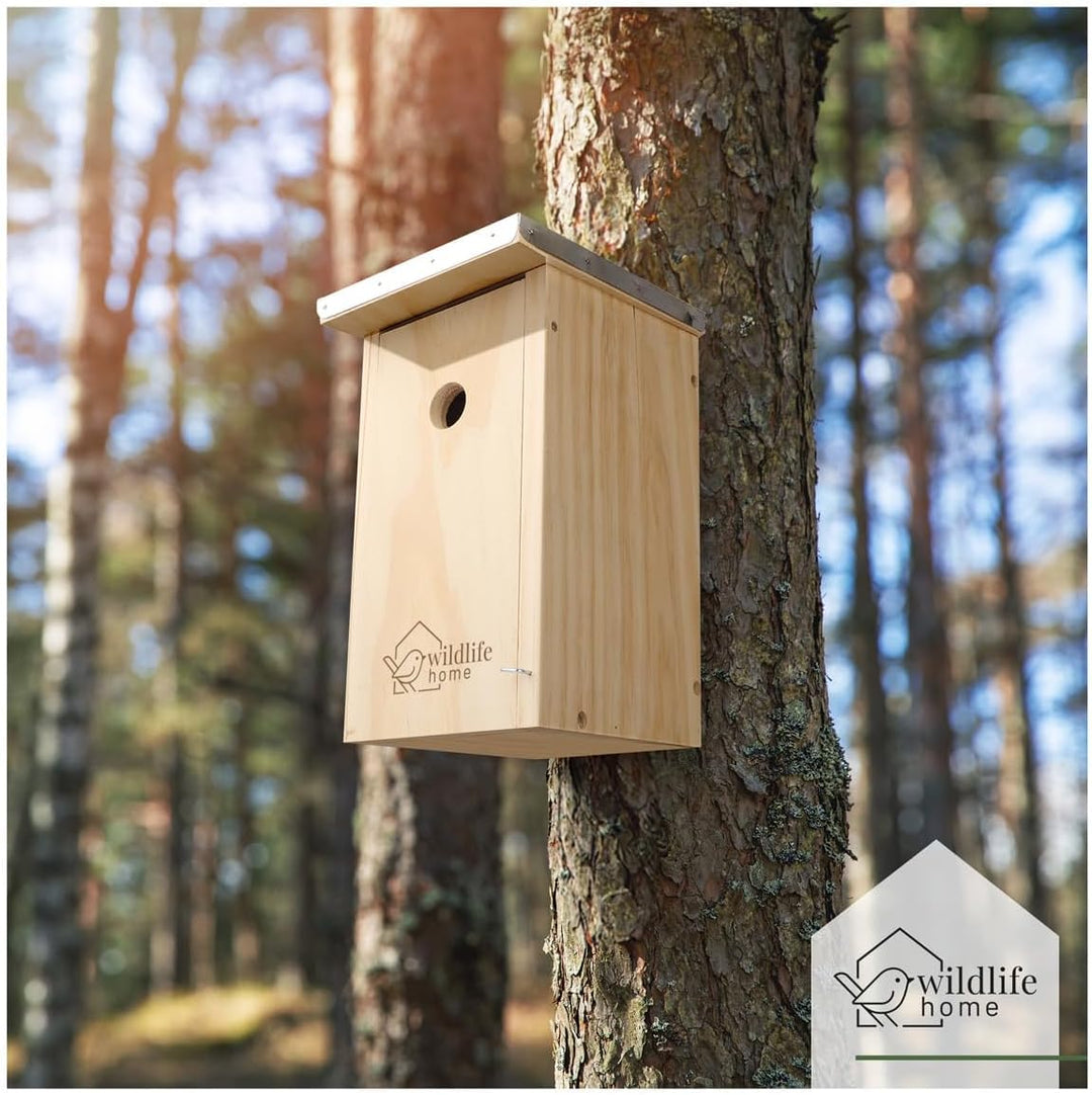 WILDLIFE HOME Nistkasten Meisen mit Metalldach für Kohlmeisen &amp; Co. I nach NABU aus verschraubtem Ma