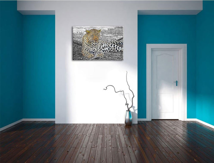 schöner Leopard liegt im Laub schwarz/weiss Deluxe Format: 100x70 cm auf Leinwand, XXL riesige Bilde