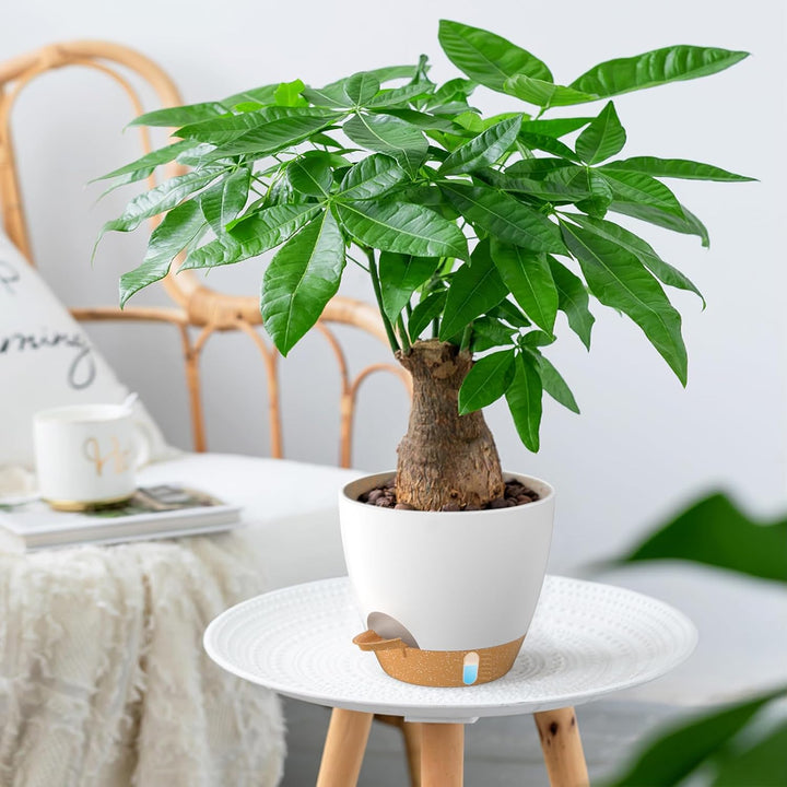 ZMTECH 25 cm Pflanztöpfe mit Bewässerungslippe Selbstbewässernde Pflanztöpfe mit Abflusslöchern und