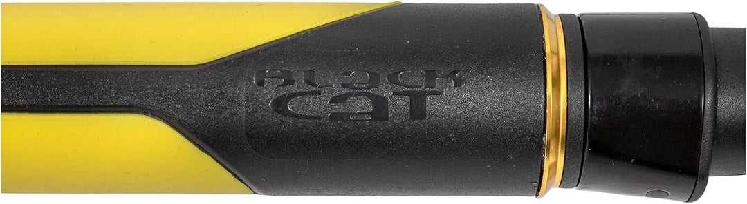 Black Cat Premium Welsrute Perfect Passion Vertical Angelrute Spinnrute Vertikalangeln vom Boot Wurf