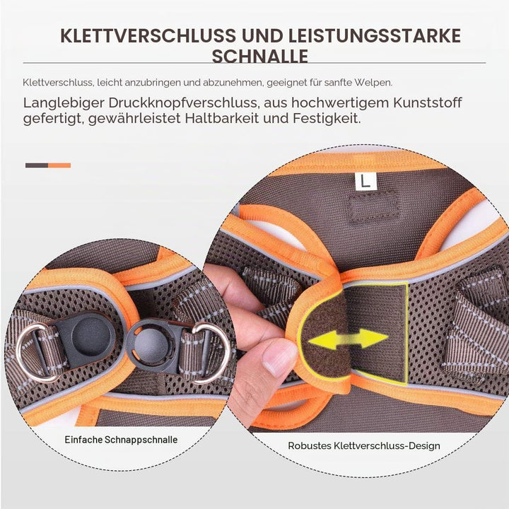 Suredoo Hundegeschirr mit Leine Anti Zug Geschirr Reflektierend Brustgeschirr für Kleine Hunde, Haus