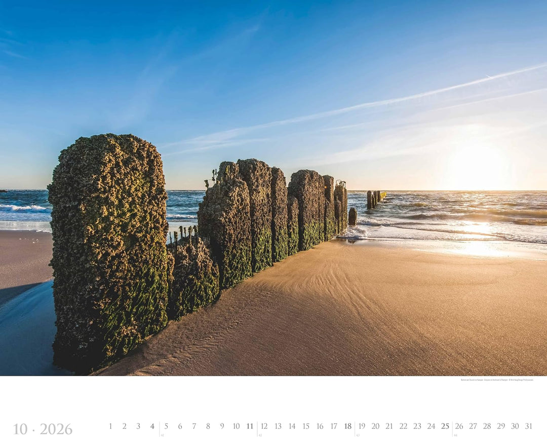 Alpha Edition - Sylt 2026 – XXL Bildkalender 60×50 cm, Panorama-Wandkalender im Querformat, Landscha