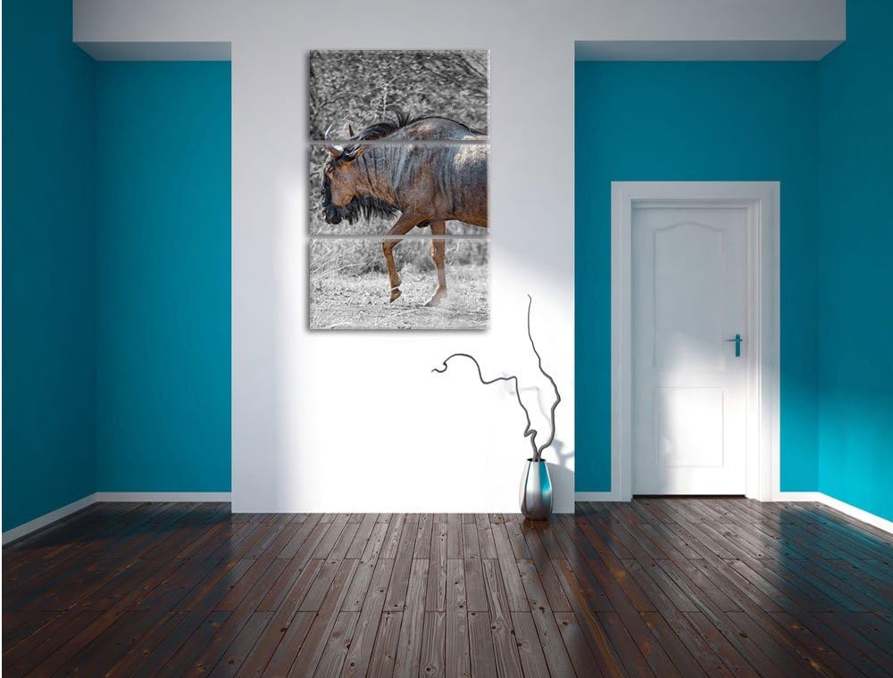 Pixxprint gigantische Kaffernbüffel in der Savanne schwarz/weiss 3-Teiler Leinwandbild 120x80 Bild a