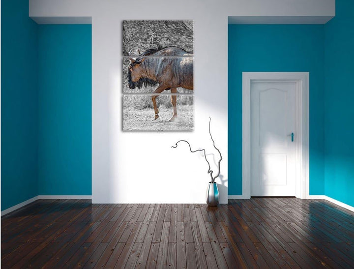 Pixxprint gigantische Kaffernbüffel in der Savanne schwarz/weiss 3-Teiler Leinwandbild 120x80 Bild a