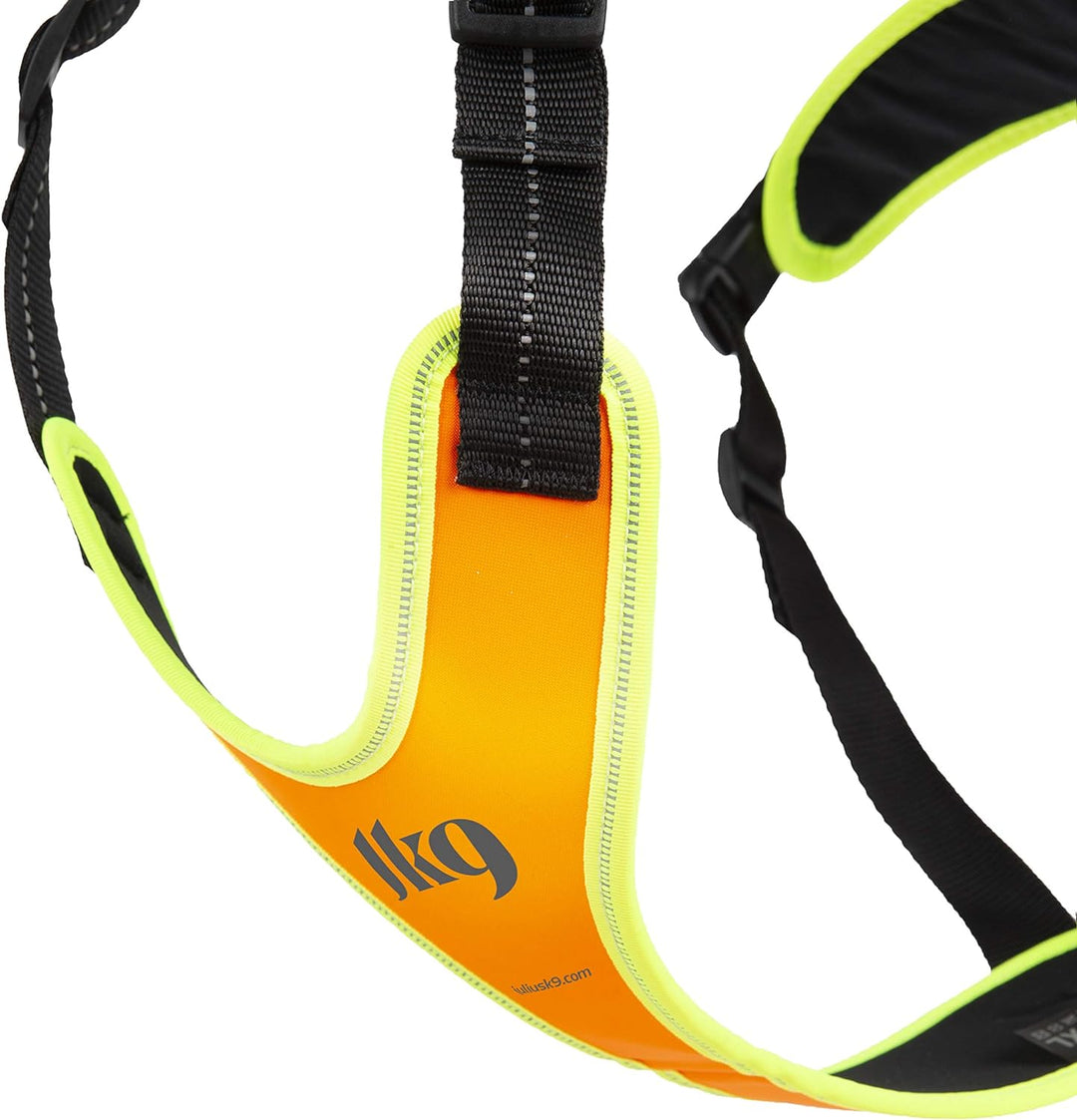 Julius-K9, 19MTR-FOR-XS-AMZ, Mantrailing &amp; Outdoor Hundegeschirr, Grösse: XS, UV orange mit neon Ran