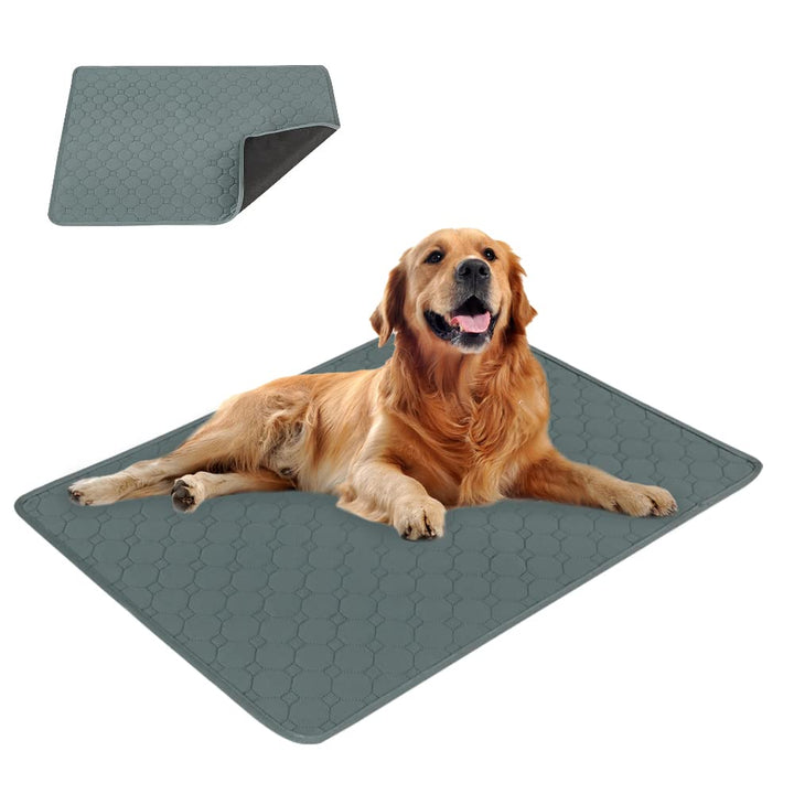 Trainingsunterlagen Welpen,Waschbar Haustier-Urinunterlage,Schnell Absorbierend Hunde Matte,Wiederve