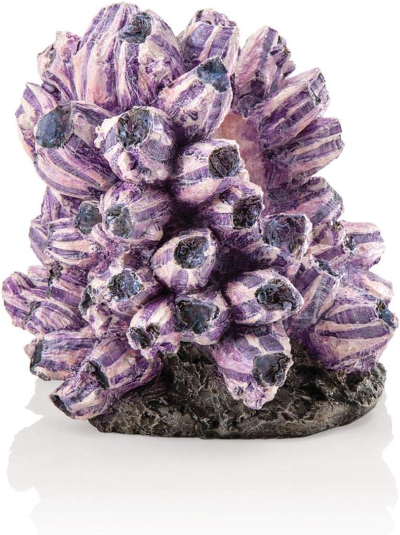 biOrb 48359 Rankentraube Ornament – naturnahe Aquariumdeko in Form von lila Polypen auf grauem Felse
