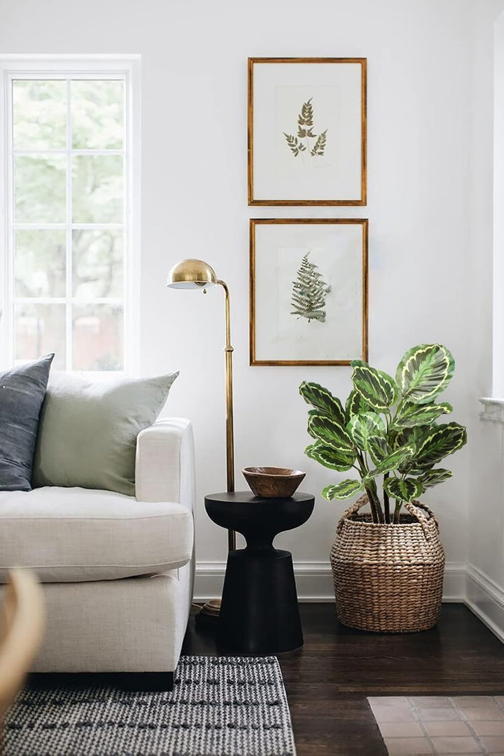 Briful 63CM Künstliche Calathea Medaillon Kunstpflanze Dekopflanze Tropische Zimmerpflanzen im Topf