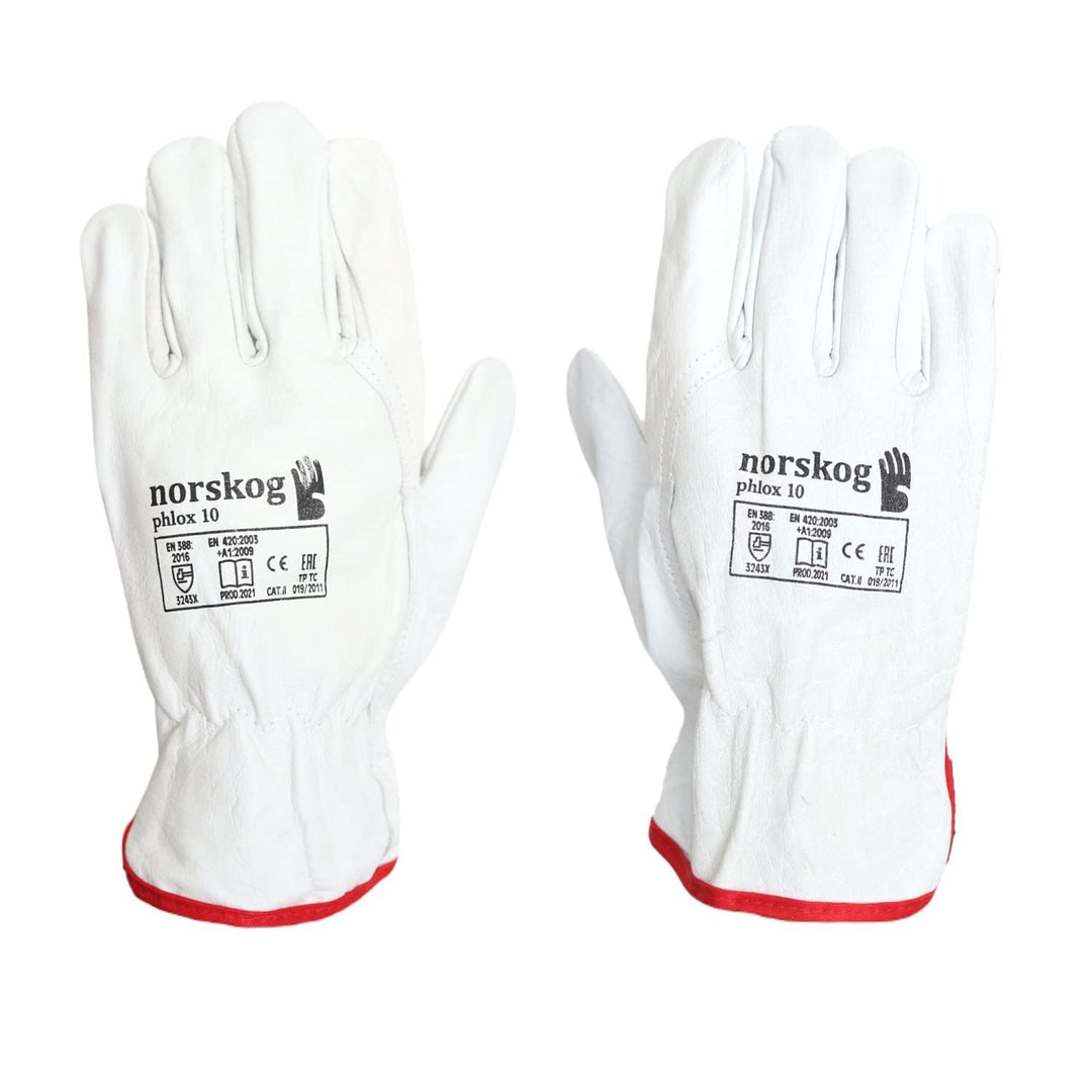 norskog PHLOX - Schutzhandschuhe I 12 Paar I Elastische Band I Kanadischer Handschuhe aus Rindsleder