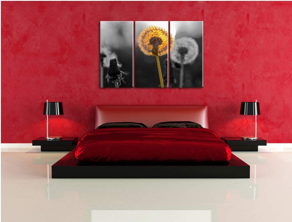 schöne Pusteblumen beim Sonnenuntergang schwarz/weiss 3-Teiler Leinwandbild 120x80 Bild auf Leinwand