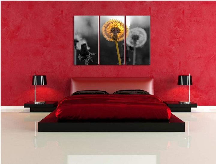 schöne Pusteblumen beim Sonnenuntergang schwarz/weiss 3-Teiler Leinwandbild 120x80 Bild auf Leinwand