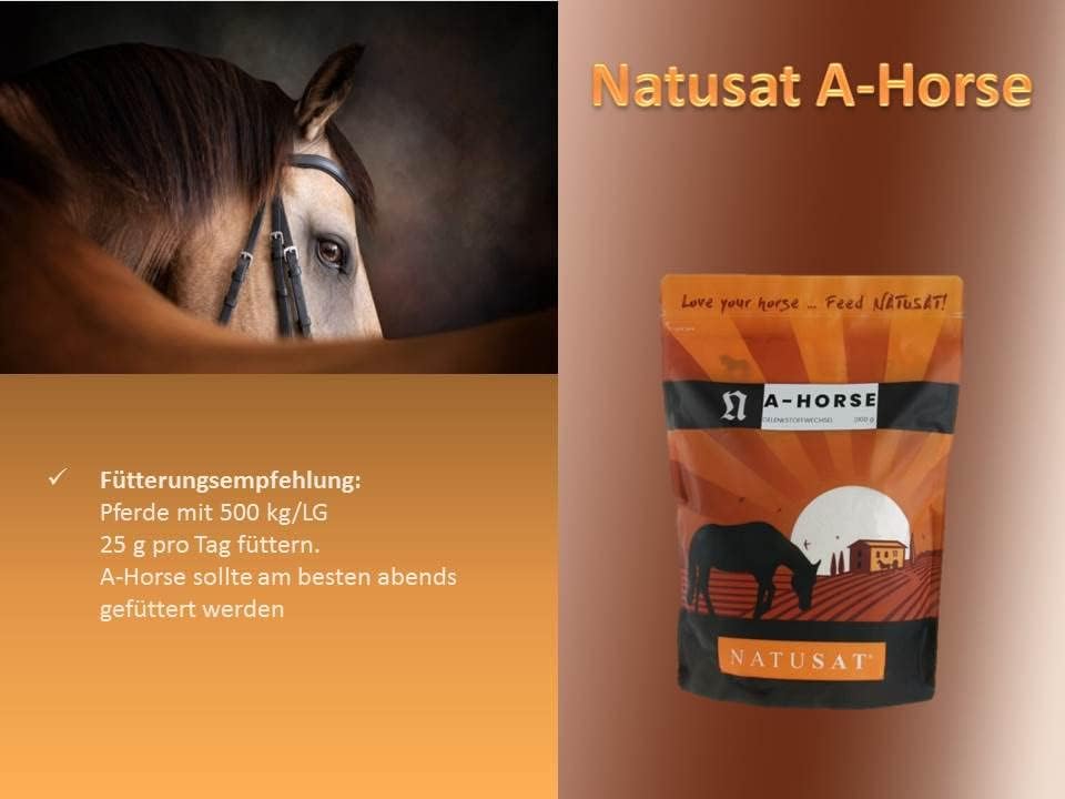 Natusat A-Horse 2100 g | mit Glucosamin, MSM, Chondroitin und L-Lysin | Für Pferdegelenke