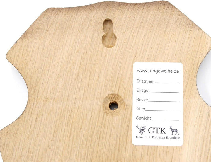 10 Stück REH Bock Schild Trophäenschilder mit 1 Kieferfach in Eiche dunkel AF 21 x 13 cm