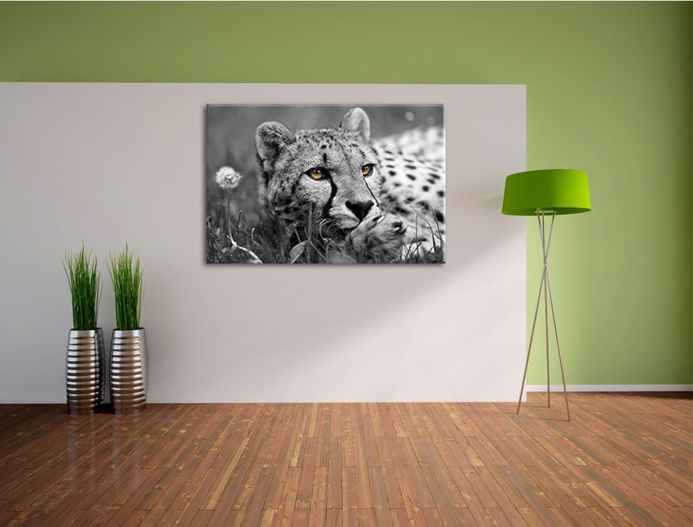 hübscher Gepard im Gras schwarz/weiss Format: 100x70 auf Leinwand, XXL riesige Bilder fertig gerahmt