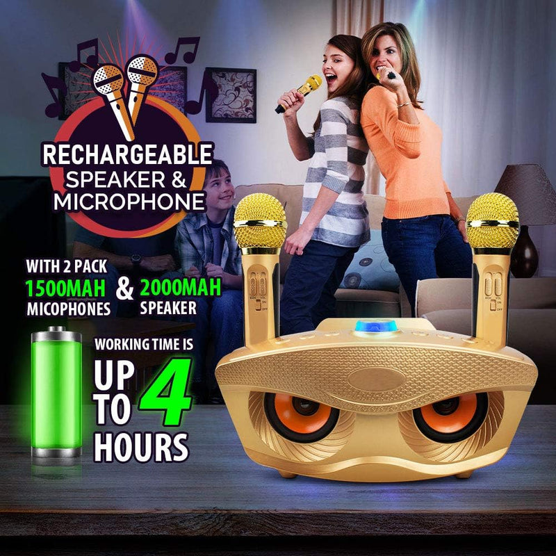 Karaoke Maschine,Bluetooth Karaoke Anlage,Tragbares PA-System mit 2 drahtlosen Mikrofonen,Lautsprech
