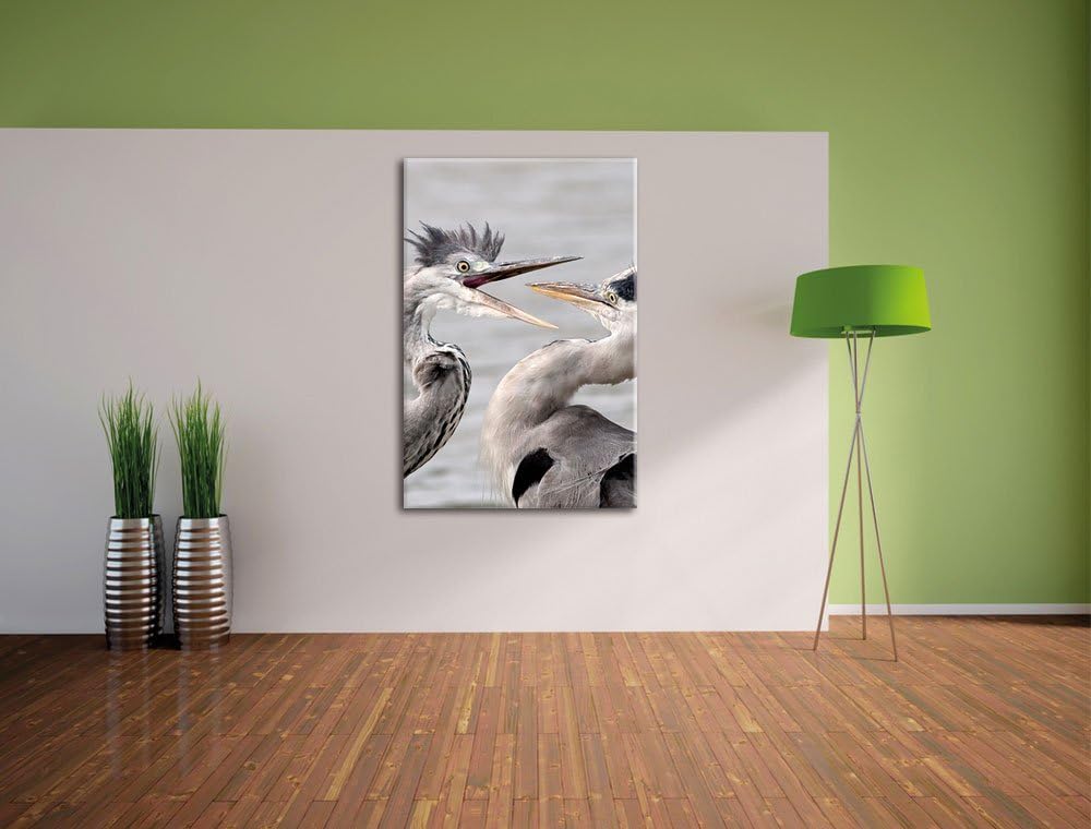 Pixxprint Zankende Vögel, Format: 100x70 auf Leinwand, XXL riesige Bilder fertig gerahmt mit Keilrah