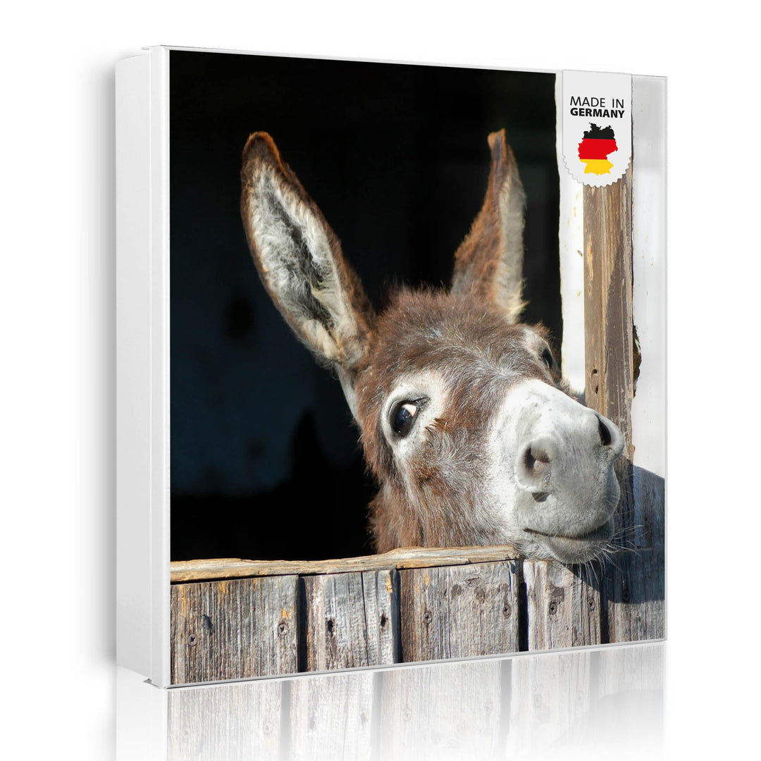 banjado® Grosser Schlüsselkasten Glas/Schlüsselbox 30cm x 30cm mit 50 Haken - Motiv Nicki/Schlüsselk