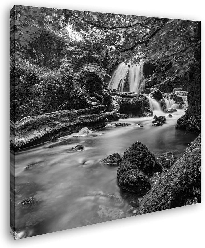 deyoli Flusslauf im Dschungel Format: 70x70 Effekt: Schwarz&Weiss als Leinwandbild, Motiv fertig ger