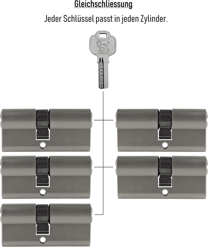 5x Profilzylinder 65 mm 30/35 gleichschliessend Not- und Gefahrenfunktion inkl. 25 Schlüssel