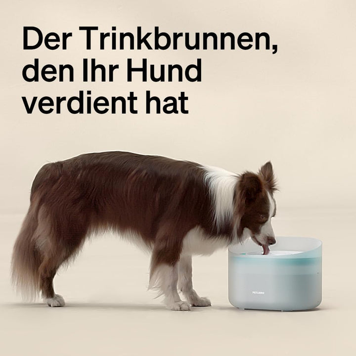 PETLIBRO Ersatz-Wasserpumpe für Hundetrinkbrunnen PLWF008, ultra-leise, nur kompatibel