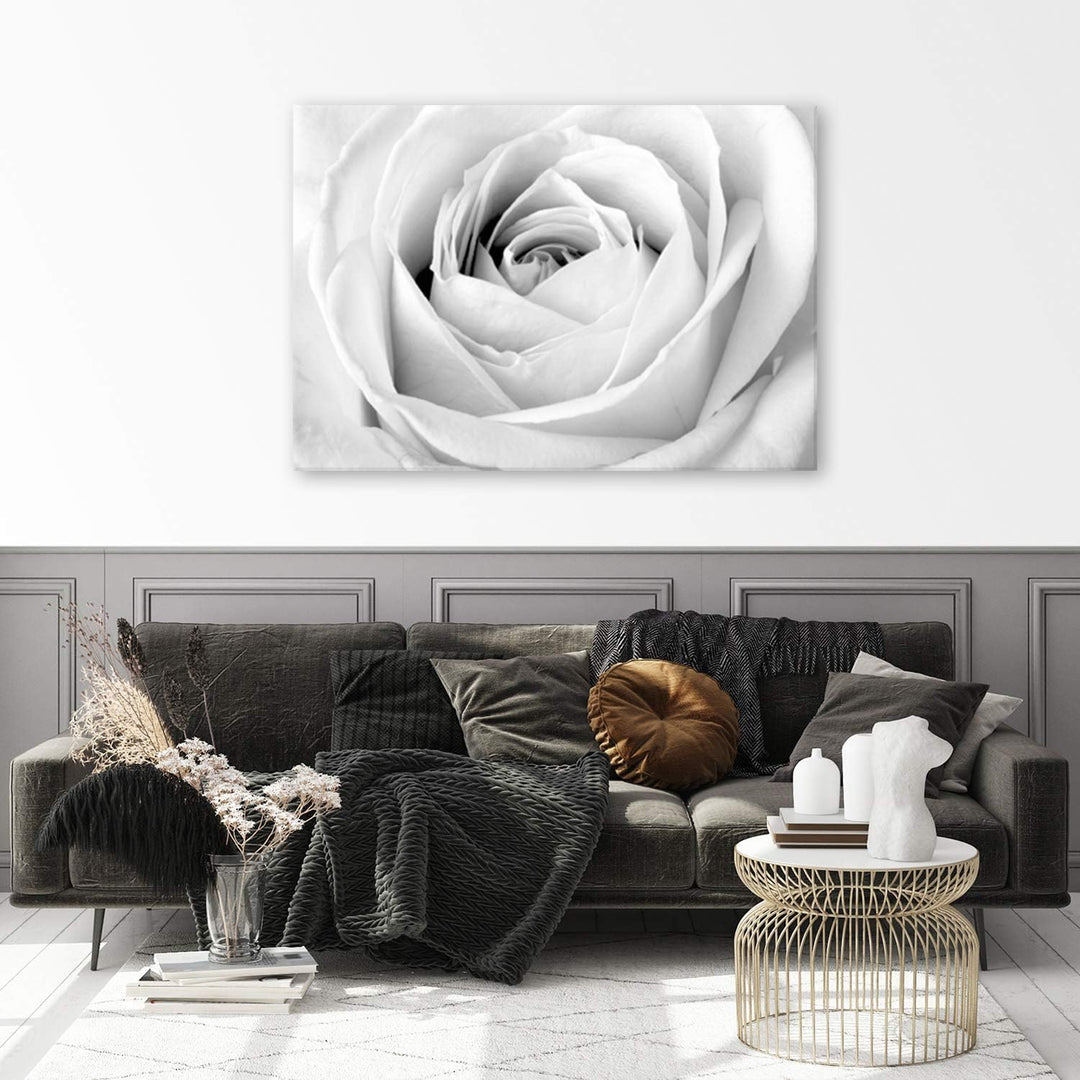 Feeby, Leinwandbild, Bilder, Wand Bild, Wandbilder, Kunstdruck 50x70cm, WEIssE Rose 50x70 Cm, 50x70