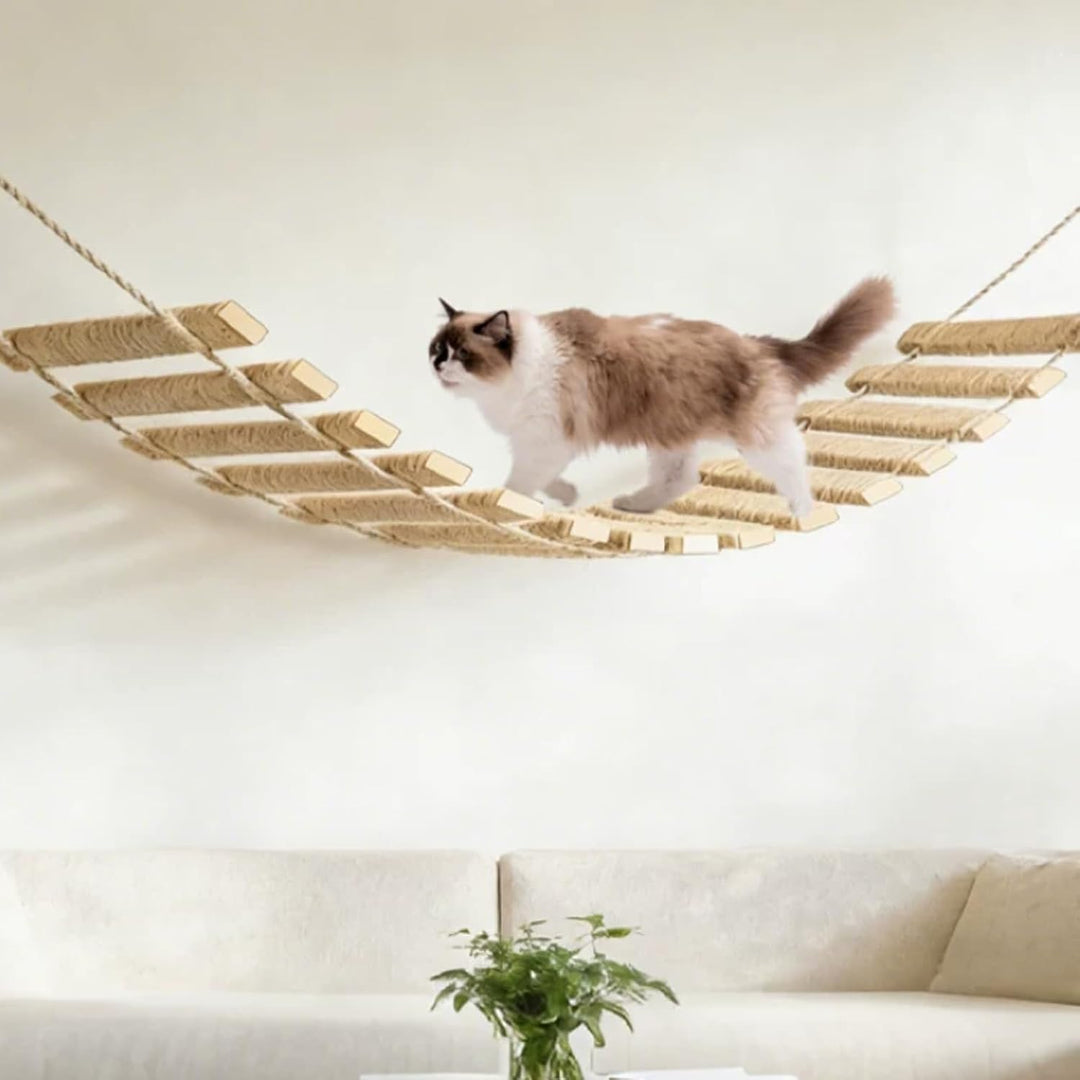 Katzenleiter 150 cm, 3-in-1 Katzenleiterbrücke Wand aus Holz &amp; Sisalseil | Katzenbrücke Wand Katzent
