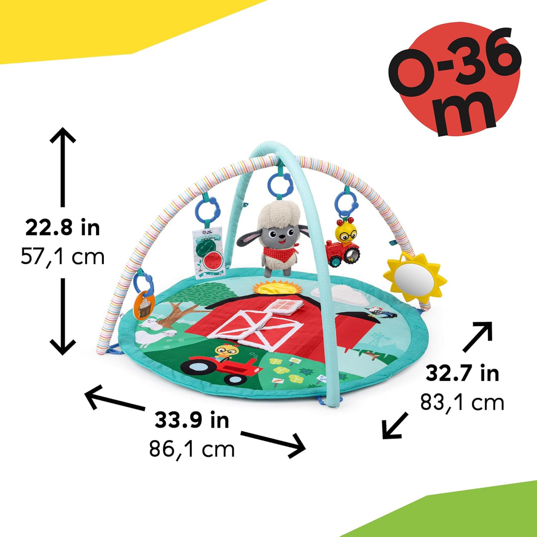Baby Einstein Farm Explorers Happy Harvest Touch &amp; Feel Aktivitätsspielzeug mit musikalischem Plüsch