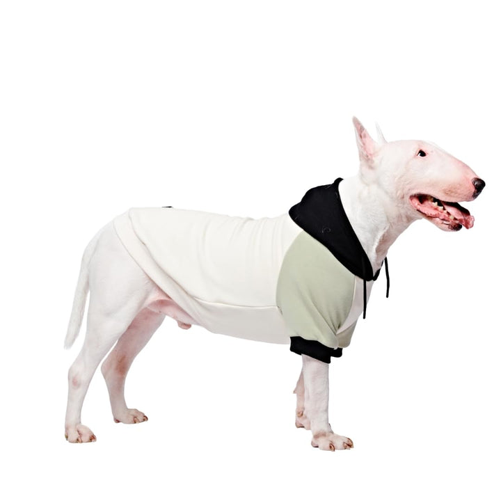 Spark Paws Hunde-Kapuzenpullover – Premium-Qualität, butterweich, hervorragender Komfort und Passfor
