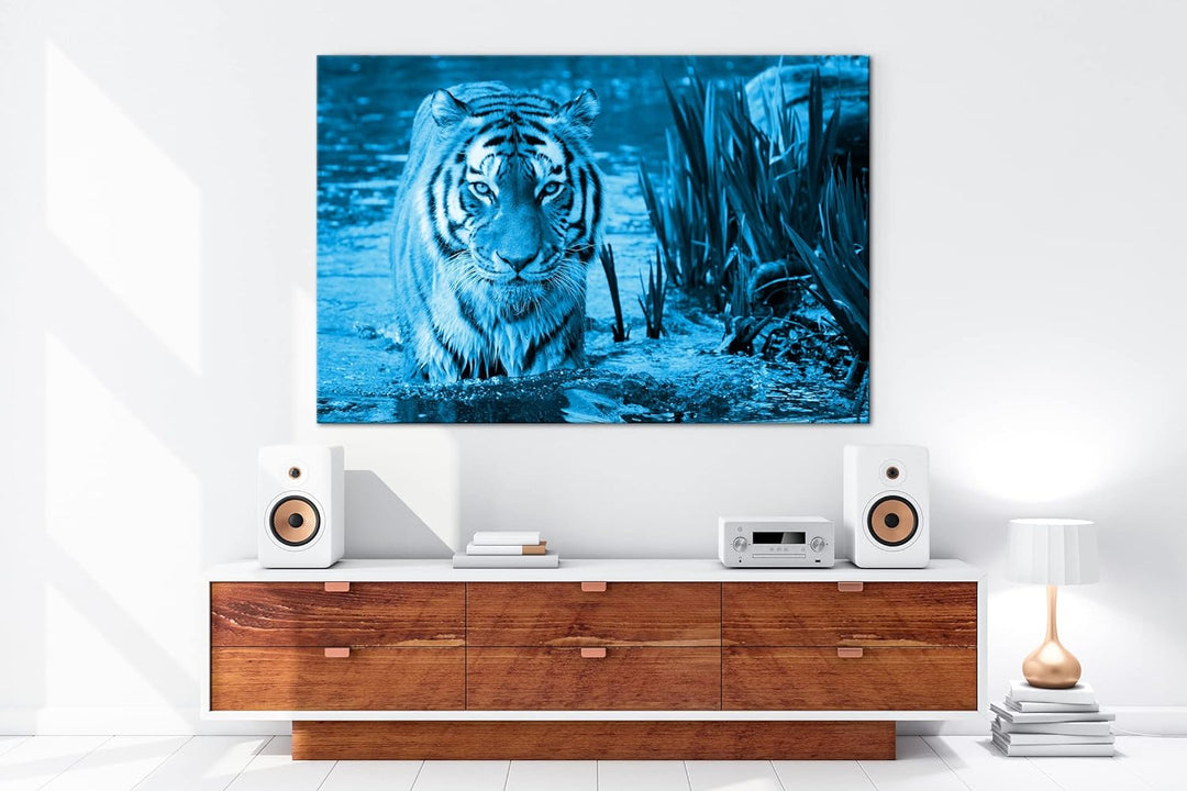 deyoli anmutiger Tiger im Wasser Format 80x60 Effekt: Monocrome Blau als Leinwandbild, Motiv fertig