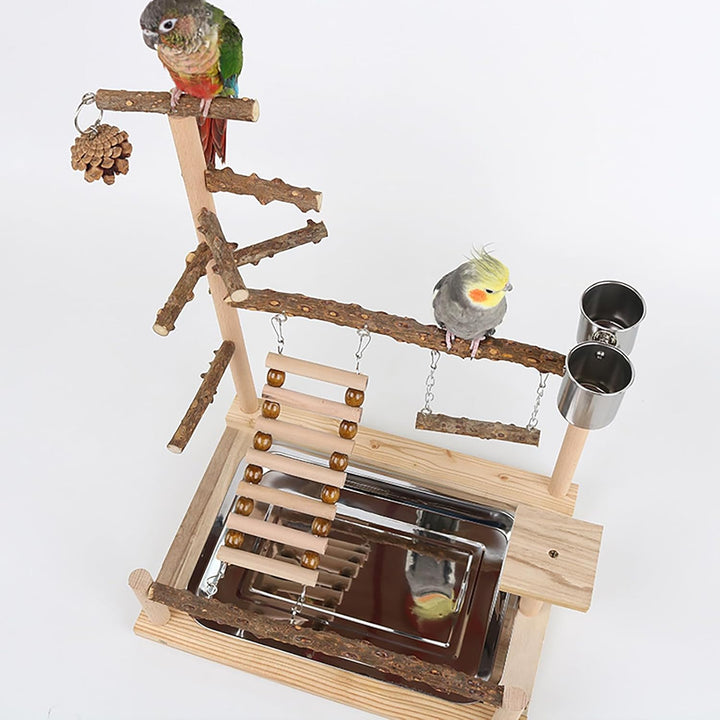 RoseFlower Vogelspielplatz Papageien Spielplatz, Naturholz Vogel Spielständer mit Feeder Cups Leiter