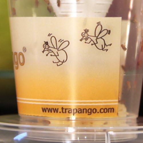 6x Fruchtfliegen-Lebendfalle Trapango®, (6er-Pack)