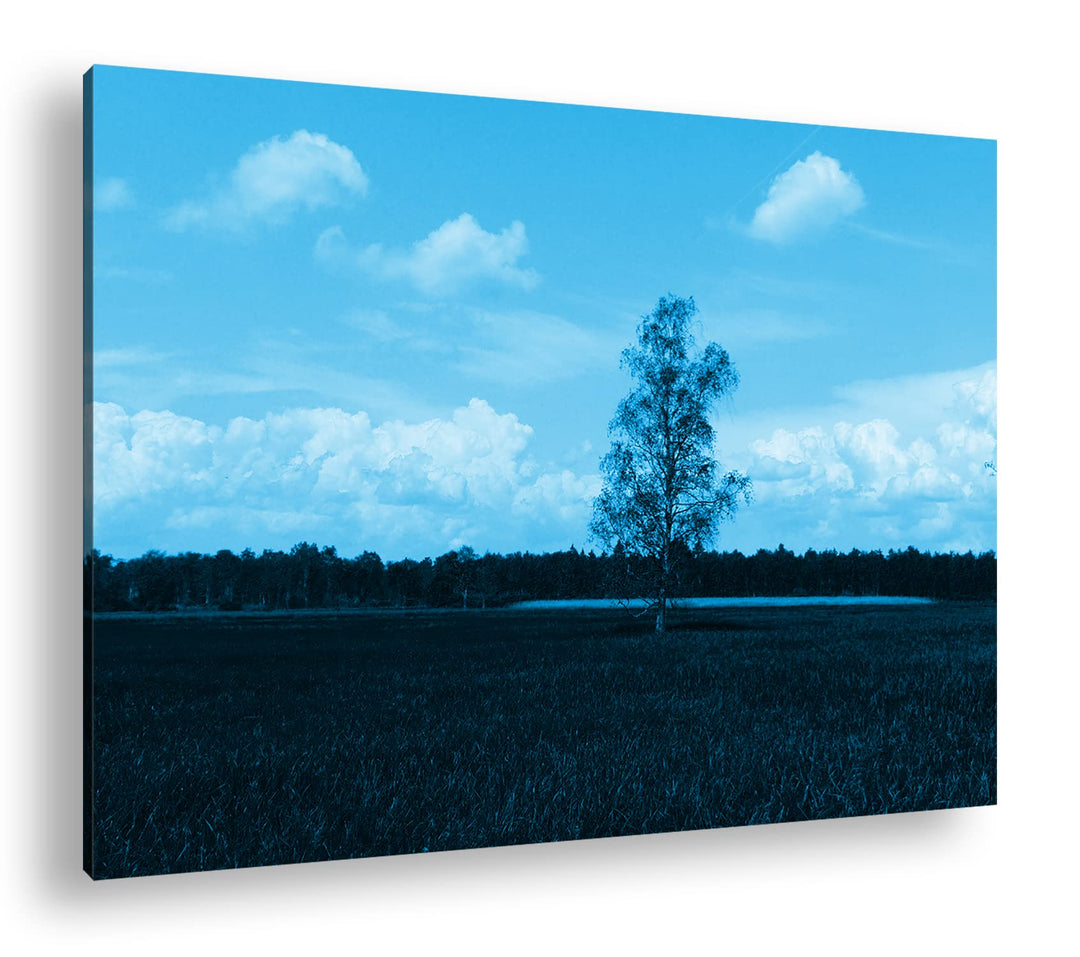 deyoli Wiese am Waldrand Format 80x60 Effekt: Monocrome Blau als Leinwandbild, Motiv fertig gerahmt