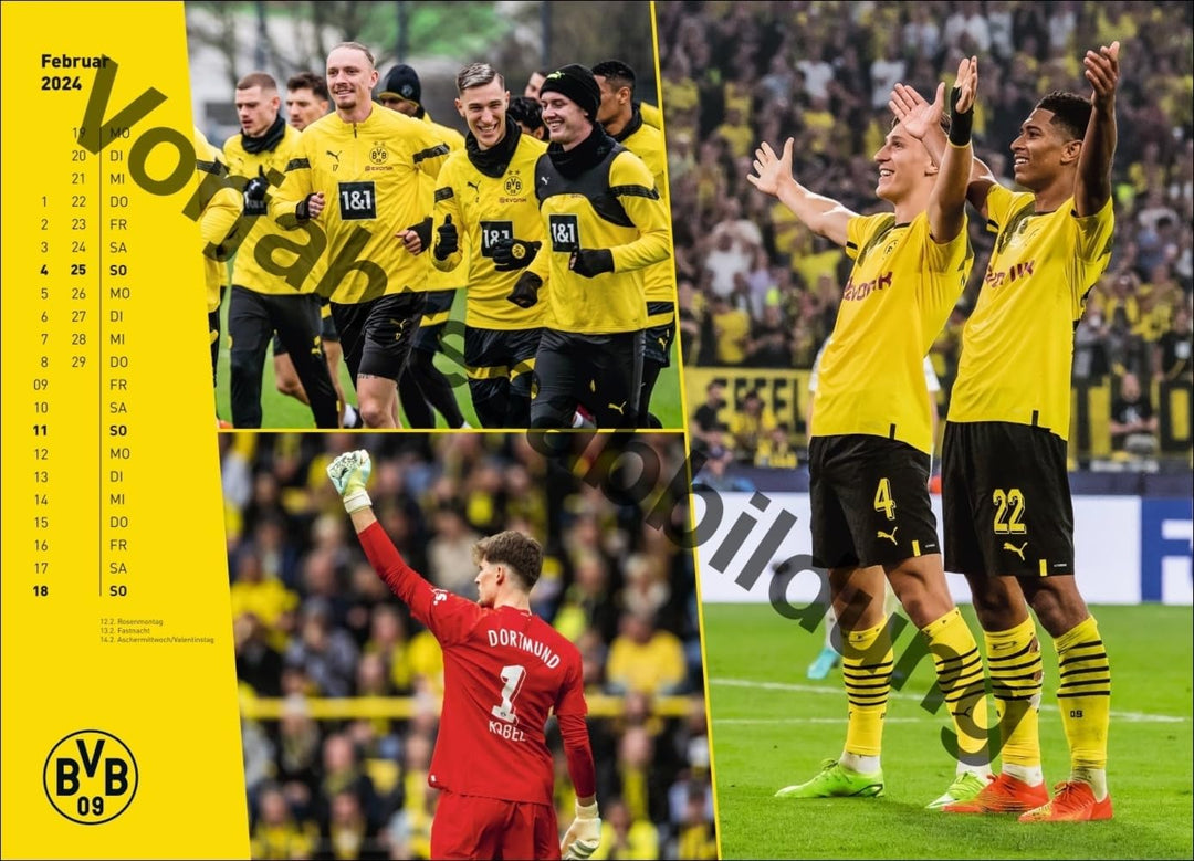 BVB Edition Kalender 2025: Grosser Wandkalender. Einzigartiger Fotokalender mit allen Stars von Boru