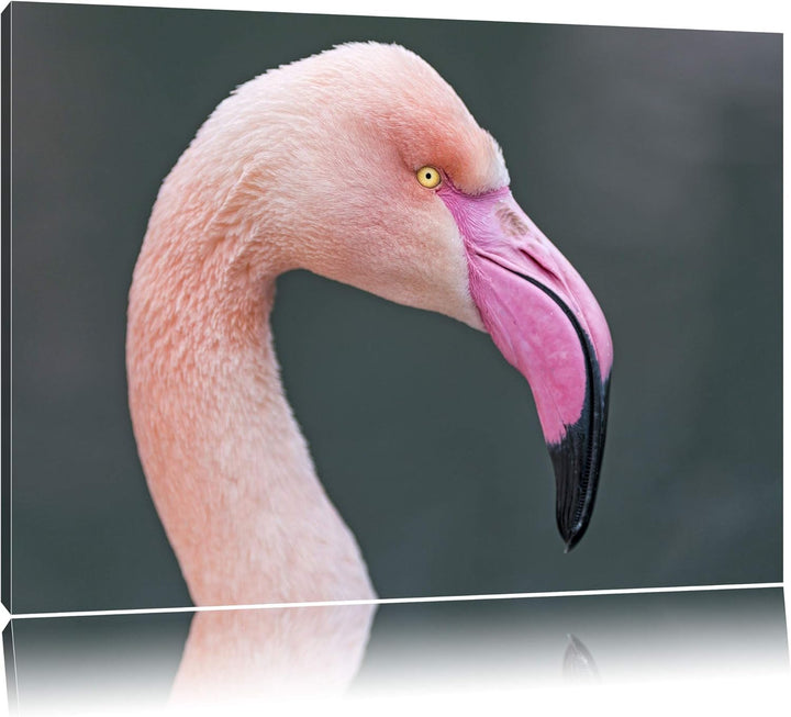Pixxprint Flamingo im Seitenprofil auf Leinwand, XXL riesige Bilder fertig gerahmt mit Keilrahmen, K